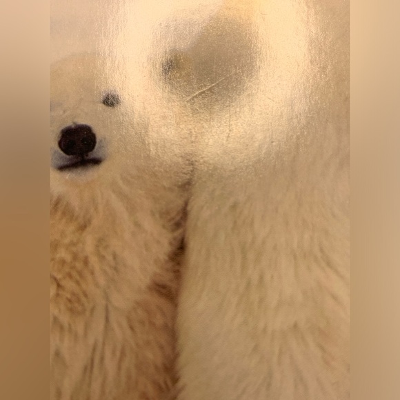 ⭐️BOGO//14-pack Polar Bear Christmas Cards - Picture 12 of 16